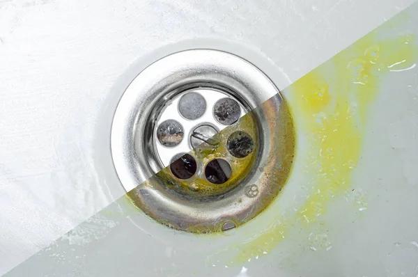 Reliable Drain Cleaning Audubon Homeowners Trust for Clog-Free Pipes